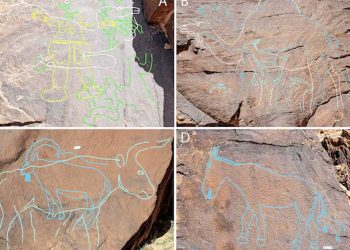 الفن الصخري في الصحراء العربية يكشف أسرار المجتمعات القديمة قبل 12 ألف عام