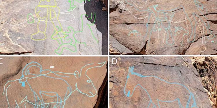 الفن الصخري في الصحراء العربية يكشف أسرار المجتمعات القديمة قبل 12 ألف عام