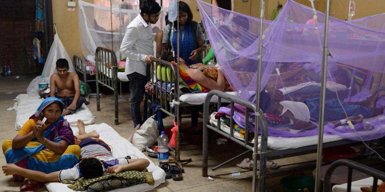 تفشي حمى الضنك في بنغلاديش يثير قلق الخبراء…أكثر من 50 ألف إصابة و215 وفاة