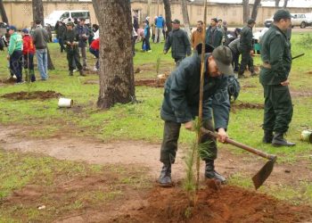 حملة تشجير وطنية لغرس مليون شتلة في يوم واحد