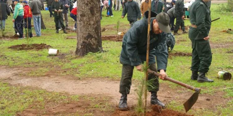 حملة تشجير وطنية لغرس مليون شتلة في يوم واحد