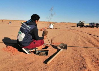 خضراء بإذن الله…الجزائر تتحد من أجل مليون شجرة في يوم واحد