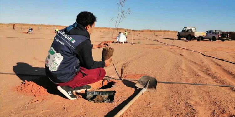 خضراء بإذن الله…الجزائر تتحد من أجل مليون شجرة في يوم واحد