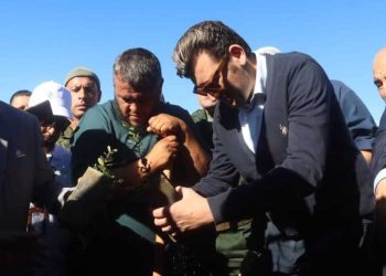 خضراء بإذن الله…هبّة وطنية تُحيي روح الغابة