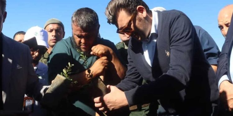 خضراء بإذن الله…هبّة وطنية تُحيي روح الغابة