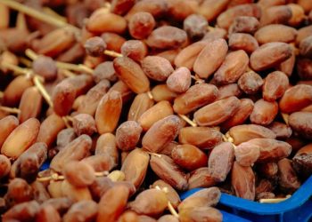 لماذا منعت تونس صادرات التمور إلى المغرب ؟