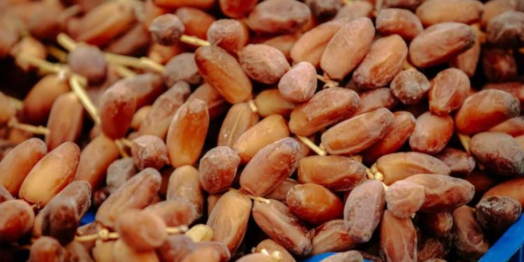 لماذا منعت تونس صادرات التمور إلى المغرب ؟