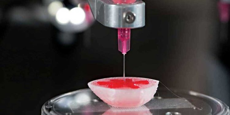 باحثون يطورون “طابعة حيوية صغيرة” لعلاج إصابات الجهاز الهضمي