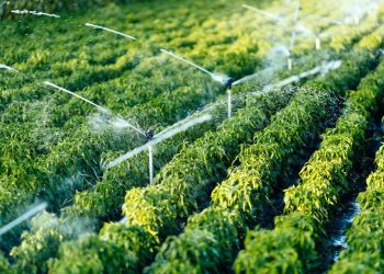 قطاع الري…ميزانية 2026 تتجاوز 2 مليار دولار