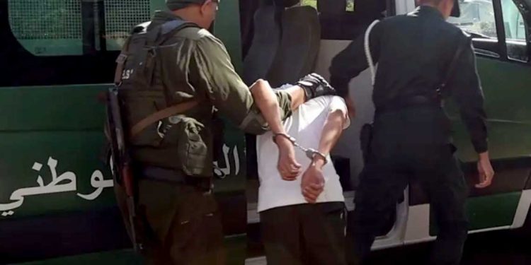 مصالح الأمن ترفع جاهزيتها لمواجهة الجريمة في المدن الجزائرية