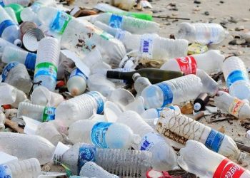 ميكروبات الأمعاء تحت تهديد البلاستيك