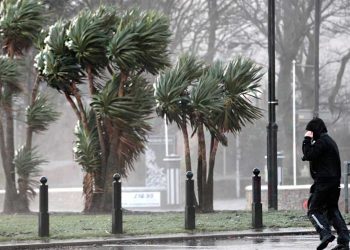 نشرة جوية خاصة: رياح قوية تصل سرعتها إلى 70 كلم/سا