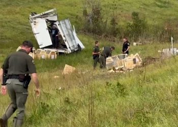 هروب قرود مختبرية في ميسيسيبي يذكر بفيلم براد بيت عن الأوبئة