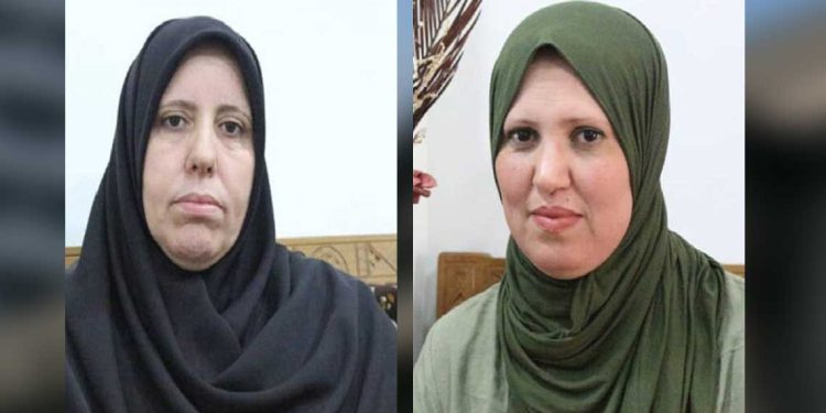 مشروع جزائري لتوثيق الرواية النسوية عبر اللغات والحقب