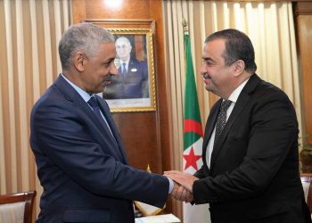 البنك الإفريقي للتنمية…مستعدون لمرافقة الجزائر في مشاريعها الاستراتيجية