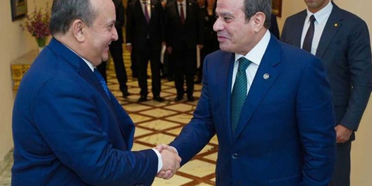 السيسي يشيد بالدور البناء للجزائر في مجلس الأمن