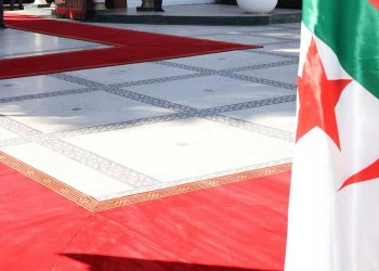 دبلوماسية الجزائر تواجه التحديات العالمية وتدعم السلام الإقليمي