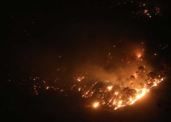 حرائق غابات مهولة تجتاح ولايتي المدية وتيبازة