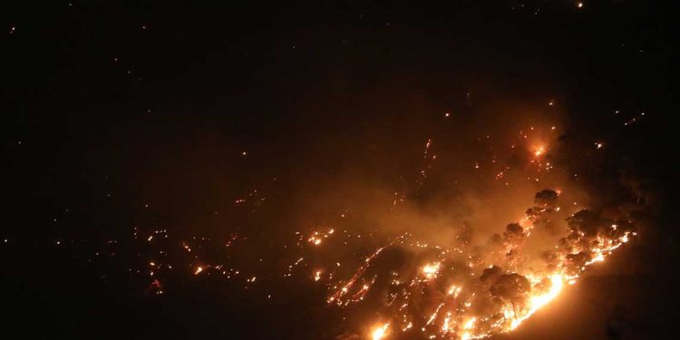 حرائق غابات مهولة تجتاح ولايتي المدية وتيبازة