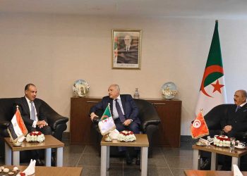 الجزائر ومصر وتونس تؤكد أن الحل في ليبيا يجب أن يكون بيد الليبيين