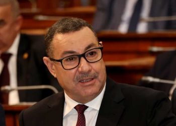 سعيود: رقمنة قطاع النقل وتوسيع الشبكة الجوية الداخلية