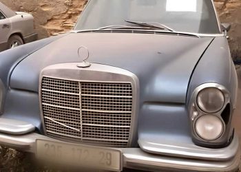 سوق السيارات الكلاسيكية في الجزائر…هواية نادرة بين الشغف والقيود الاقتصادية