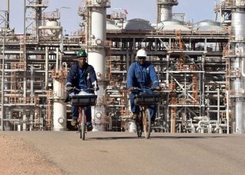 سوق العمل في الجزائر…بين اقتصاد الظل والتحول الحديث