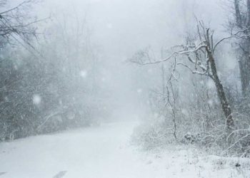 الديوان الوطني للأرصاد…ثلوج كثيفة على المرتفعات