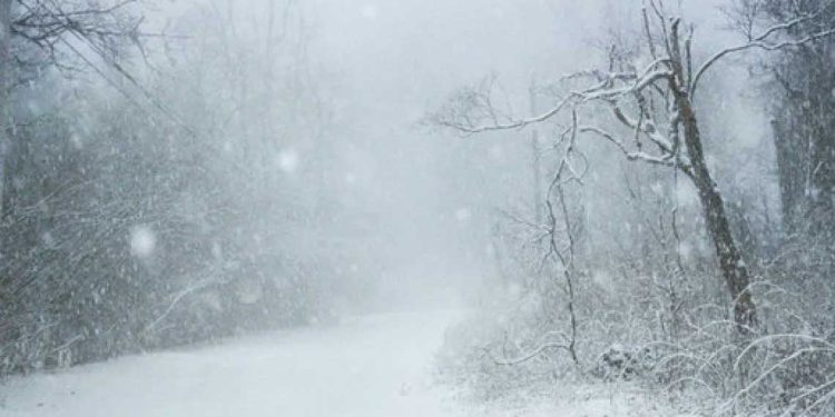 الديوان الوطني للأرصاد…ثلوج كثيفة على المرتفعات