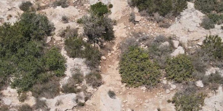 ليبيا…العثرو على ممر روماني مفقود