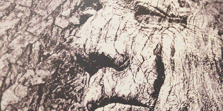 مهرجان للفن المعاصر يعيد صياغة الحوار بين الثقافات