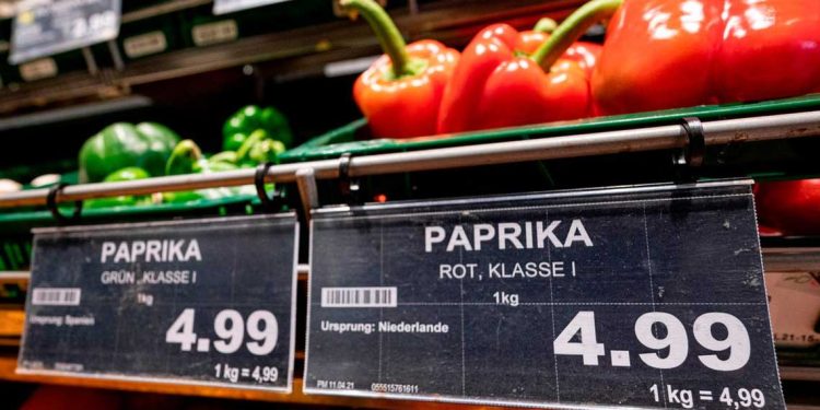 ارتفاع أسعار الطعام يضطر الألمان للتقشف الغذائي