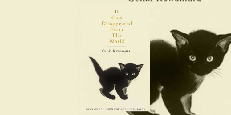 حين يختفي كل شيء.. حتى القطط!