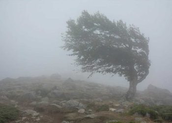 الأرصاد الجوية تحذر من أمطار  و رياح قوية بعدد من الولايات