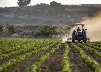 المعرض الدولي للفلاحة بوهران جانفي المقبل