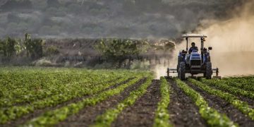 المعرض الدولي للفلاحة بوهران جانفي المقبل