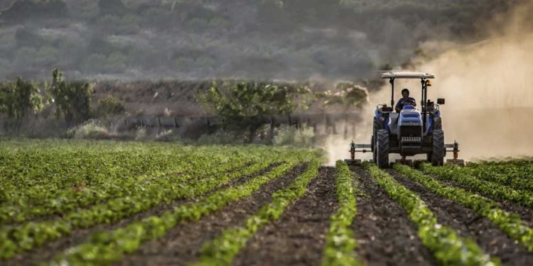المعرض الدولي للفلاحة بوهران جانفي المقبل