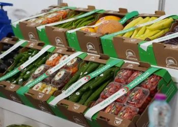 سوق المنتجات الطبيعية…عروض محلية تجذب المستثمرين الأجانب