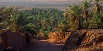 مهرجان السياحة الصحراوية…دبلوماسيون يشيدون بسحر تيميمون