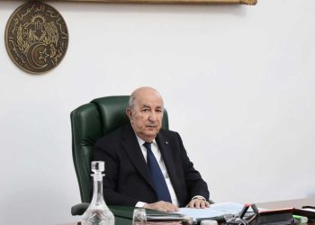 حماية الفلاحين, التحول الرقمي والمعاشات…تبون يرسم أولويات الحكومة