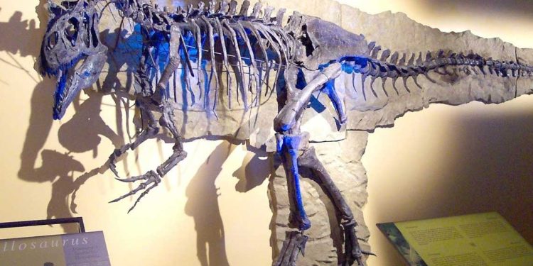 فرنسا تعيد هيكل ديناصور ضخم إلى منغوليا