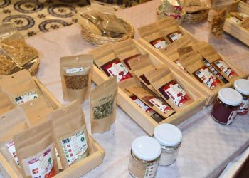 إطلاق She Can… تحدي 1000 مشروع مصغر لدعم الأمن الغذائي