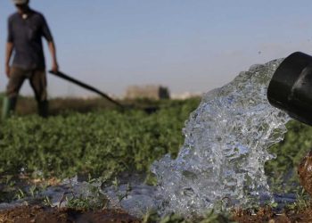 المغرب …نهاية الجفاف بعد أمطار شتوية قياسية