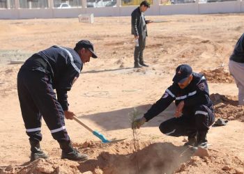 بشار-غار جبيلات… حملة تشجير على خط السكة الحديدية