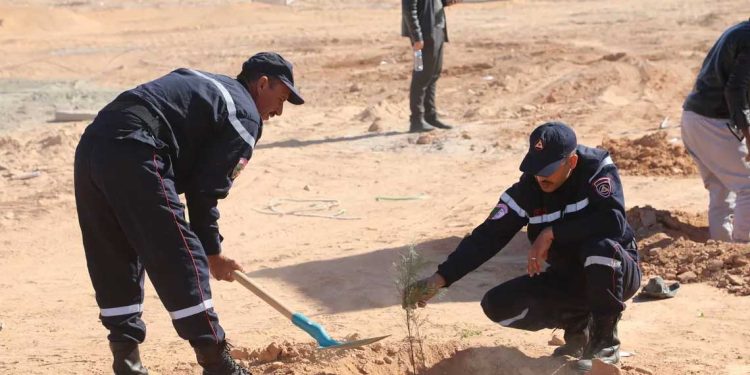 بشار-غار جبيلات… حملة تشجير على خط السكة الحديدية