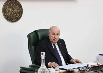 تبون يوجّه نداءً للشباب الجزائري بالخارج ويقرّ تسوية أوضاعهم