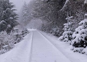 تساقط ثلوج على مرتفعات الجزائر بداية من الثلاثاء