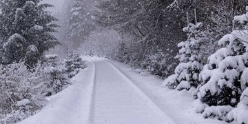 تساقط ثلوج على مرتفعات الجزائر بداية من الثلاثاء