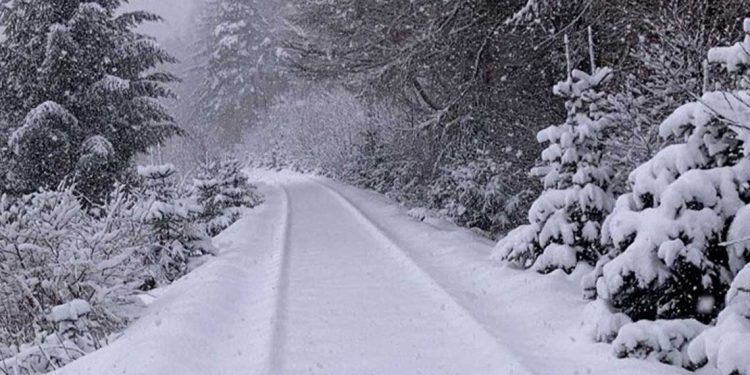 تساقط ثلوج على مرتفعات الجزائر بداية من الثلاثاء