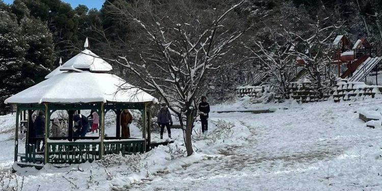 فيلم روسي يحقق أكثر من 5 ملايين مشاهد خلال خمسة أيام